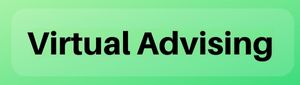 Virtual Advising