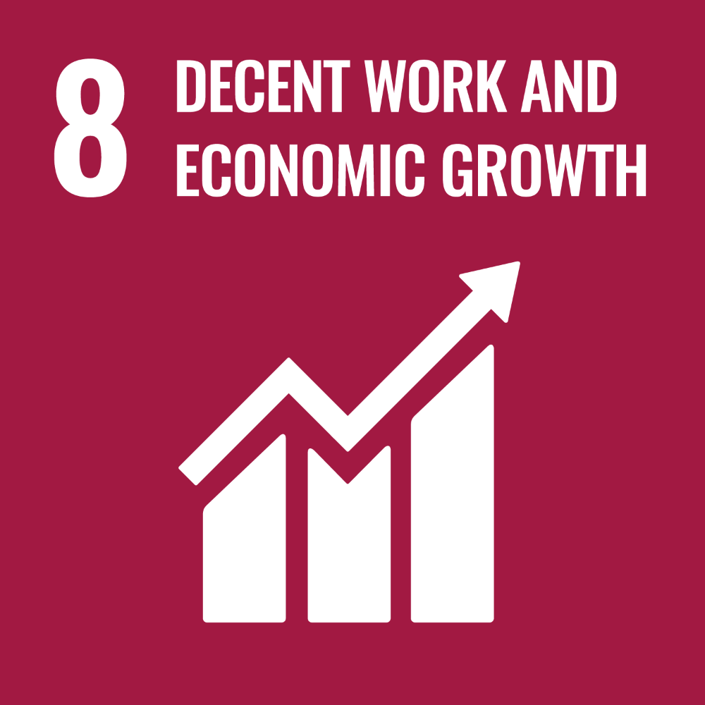UN SDG Goal 8 graphic