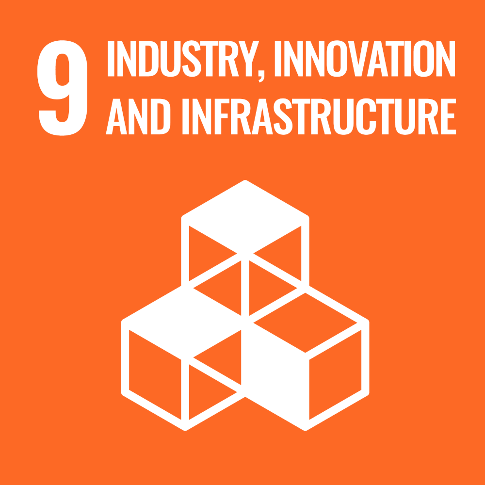 UN SDG Goal 9 graphic