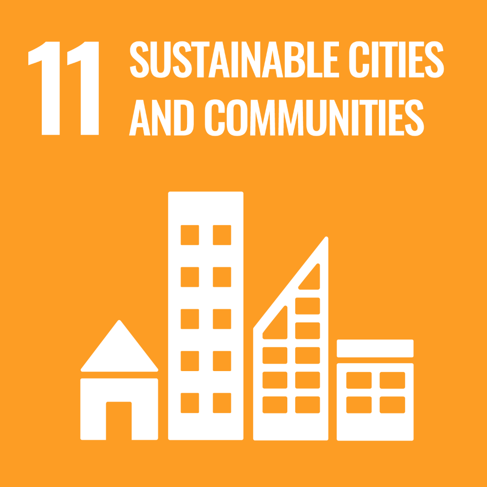 UN SDG Goal 11 graphic