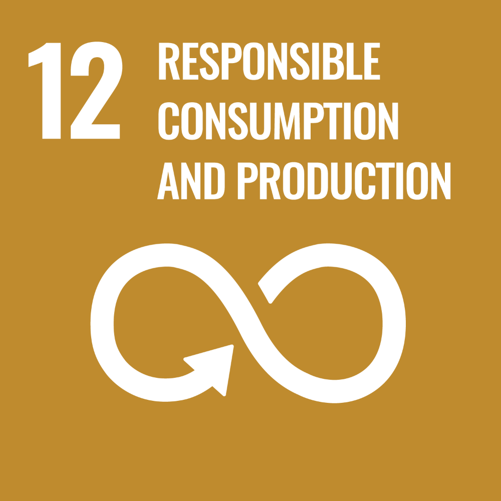 UN SDG Goal 12 graphic
