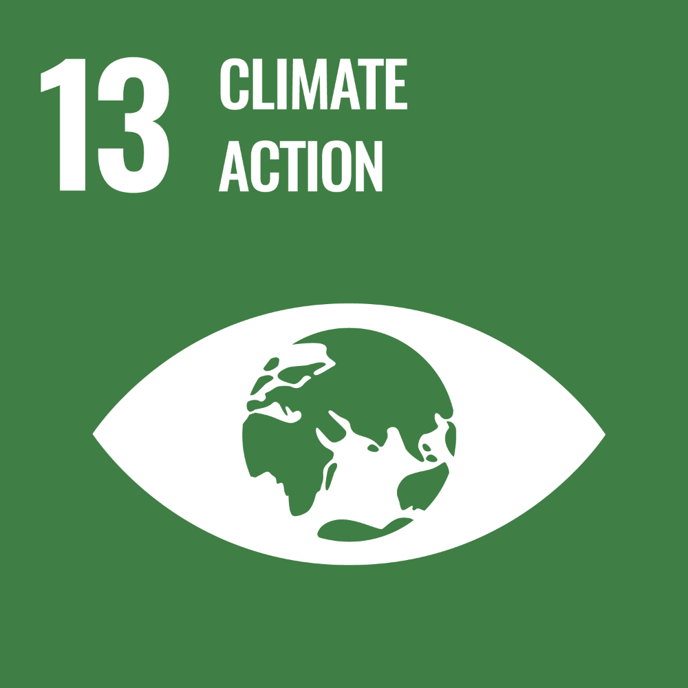UN SDG Goal 13 graphic