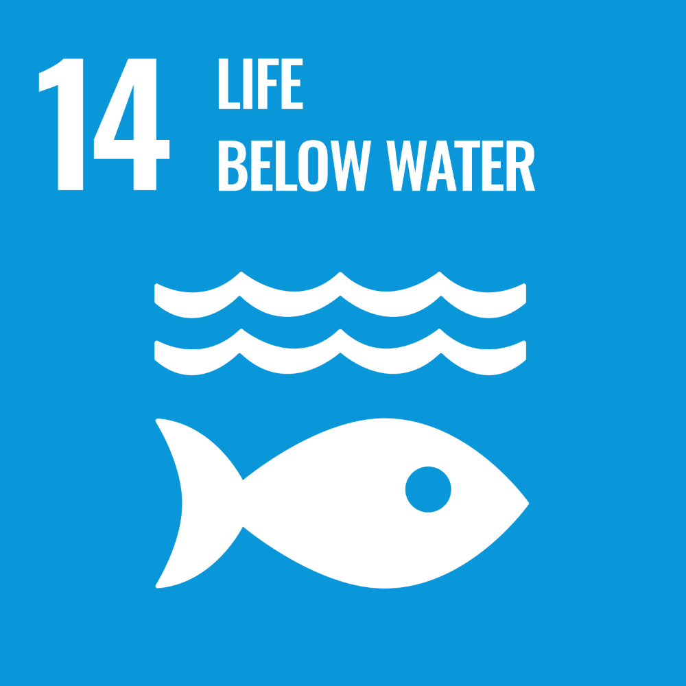 UN SDG Goal 14 graphic