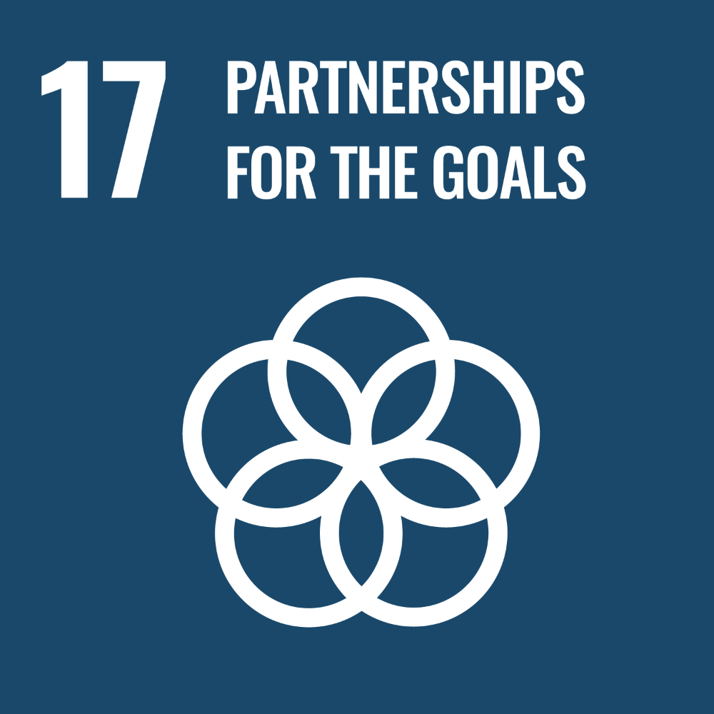 UN SDG Goal 17 graphic