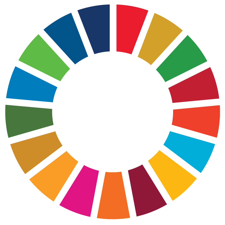 SDG Wheel Graphic